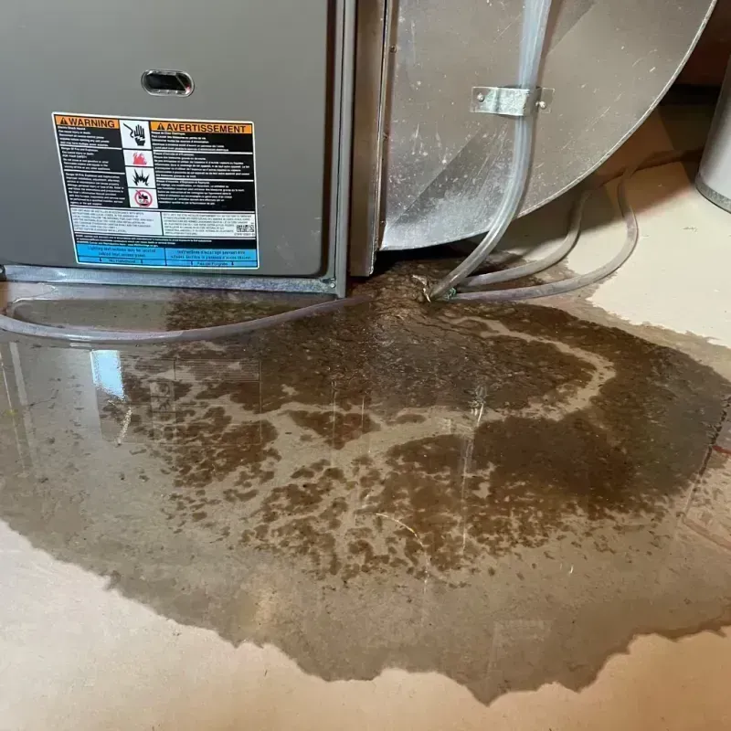 Appliance Leak Cleanup in Lafayette, CA